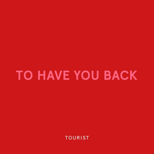 Steam Tourist "To Have You Back"